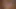 Dicksucking minyon aşağılanmış tarafından dom yabancı