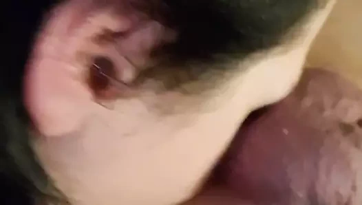 Kaltak götümü yalıyor