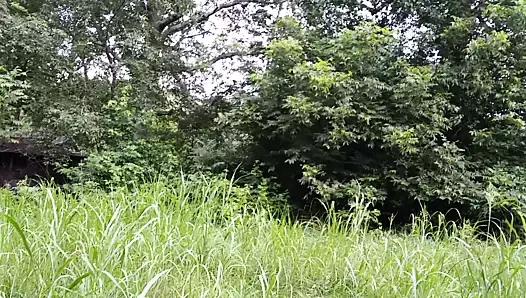 Güzel manzaralar #1