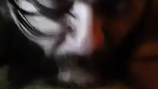 sakallı ayı baba darbeler kıllı cub