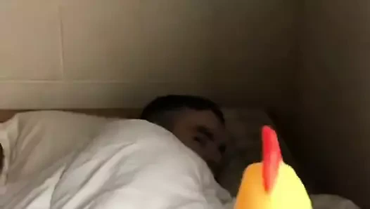 Büyük bir horoz için uyanmak