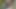 Sadece halka açık yerlerde insanların izlediği oral seks sonunda boşalma yutuyordu