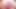 Lola Foxx sıkı amına mastürbasyon yapmayı seviyor