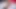 Daisy Ducati ve Oliver Davis karışık güreş