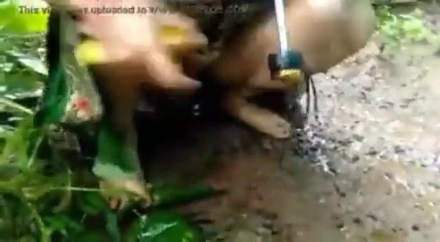 Desi yenge çeşitli kahrolası koleksiyon