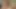 Eşcinseller anal seks yapıyor
