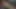 Gonzo pov bekaret olduğunu zalim