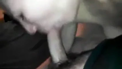 Derin boğaz için zonklama cim