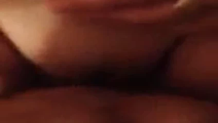 Kedi kahrolası arasında bir eş