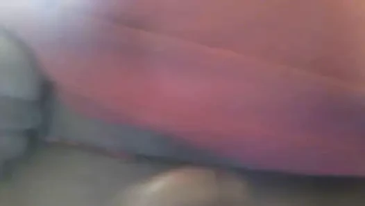 penis
