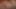 Xhamster arkadaşı karısının külotunda kızının elle sandaletlerini becerdin