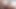 güneş yanığı ladyboy atlama üzerinde yağ horoz