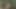 Fuck and Suck BIG Tits Stranger in Woods
