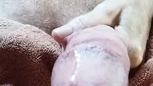 Dev büyük yaraklı 31 talimatıyla seni eziyor