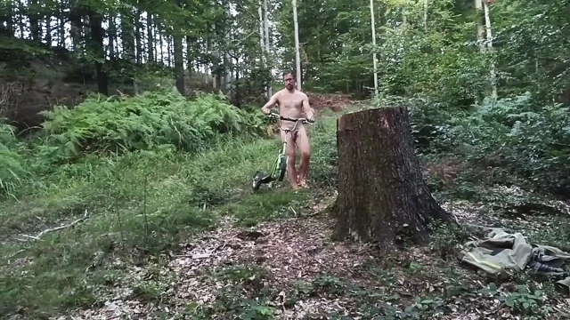 Bir kütükte Avlanma, ikinci bölüm