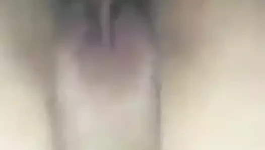 Arap becerdin yüksek sesle inilti, yakın çekim