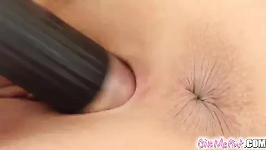 Eve meleğin yakın çekim kedi zevk oturumu