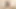 Süper seksi üniversite öğrencisinin büyük bir yapay penisi ve bu konuda sizinle paylaşacak önemli şeyleri var