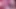 Trav🌷barbie rose rose rose vanessabitchx parischiennetrvprod⁹¹