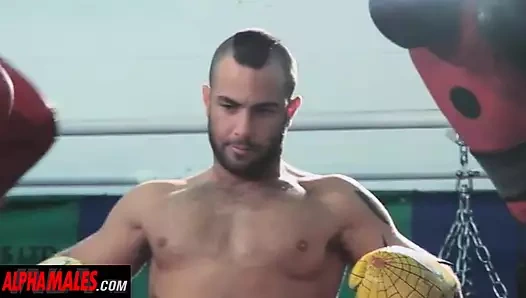 Alphamales.com - boks kulübünde üçlü