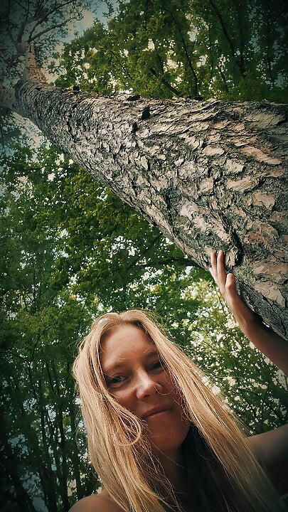 Veluwe'de