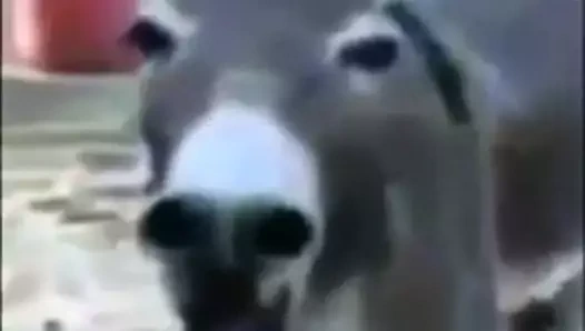 ohhh seksi göğüsler