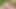 Açık oral porno oyun birlikte - daha fazla javhd.net'te