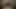 pov hentai oral seks