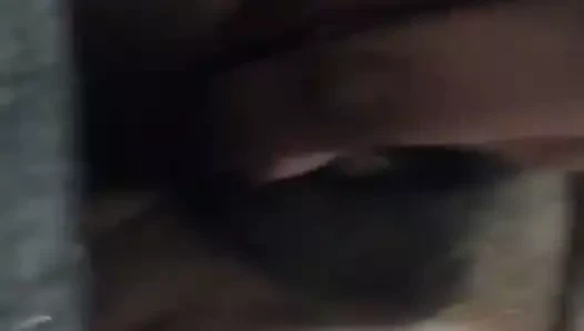 O lolipopu yalar mısın?