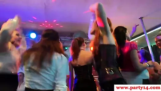 Gerçek Avrupa babes saksocu at sexparty