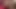 Pornstarplatinum - angelina sevgililer günü ve brooklyn bailey