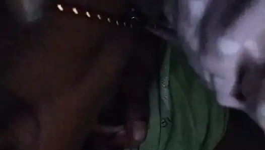 Oral seksshappylove243oralsexindianfull conkle sert ağız orgazmı Hintli kız arkadaş aaj rani ne mera land sucka aur muj
