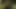 I MADE THE FAN CUM TWICE WITHOUT A CONDOM