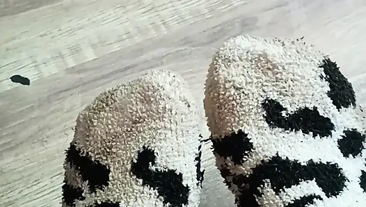 Çoraplarımı çalmayı bırak