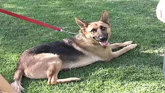 Ucube esmeri arabada mastürbasyon için alıyor