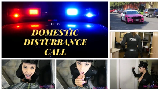 DOMESTIC DISTURBANCE CALL