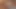 Dik milf michelle lay kedi yaladı tarafından marlie moore