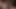13 Aralık günü sfm & blender porno derlemesi