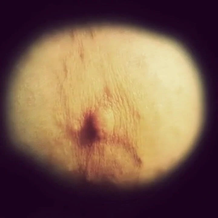 Tanrıça Lana CEI'nin ekran kölesi boi'sını yalıyor