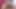 Bronzlaşmış travesti Avilla Scherzinger kendini yağlıyor ve bir adamla sikişiyor