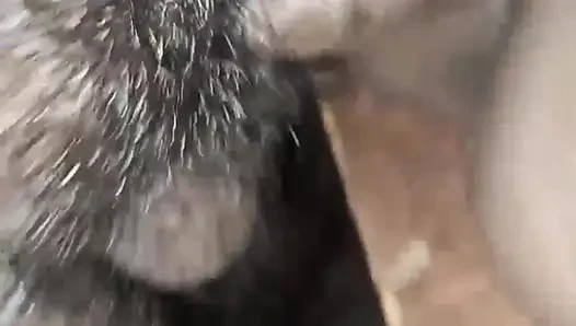 Teyzemin amını almanın tadını çıkarıyorum