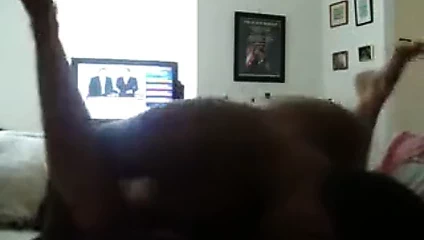 İngiliz ırklararası