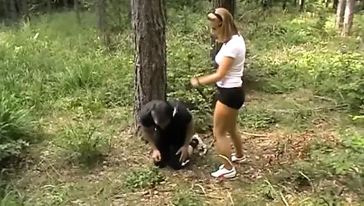 Dağlarda iyi bir midilli oyunu