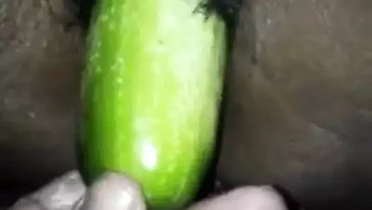 Salatalık kediyi sok