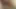 Shayla o amcığı cezalandırmama izin veriyor