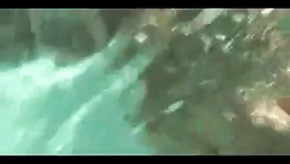 Amber lynn bach sualtı oral seks