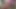 Seksi Asyalı kız büyük yarakları seviyor