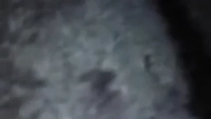 Karıların şişman kedi, aşık olacaksın, zekâya aşık olacaksın