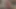Büyük zenci yarağı dildo mastürbasyonu