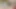Çift ile busty esmer sikme içinde amatör sahne